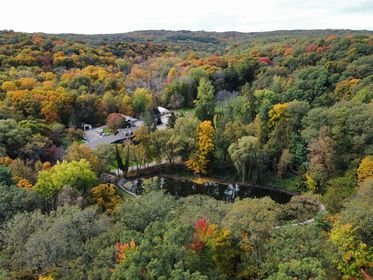 Retreat participants in the glen