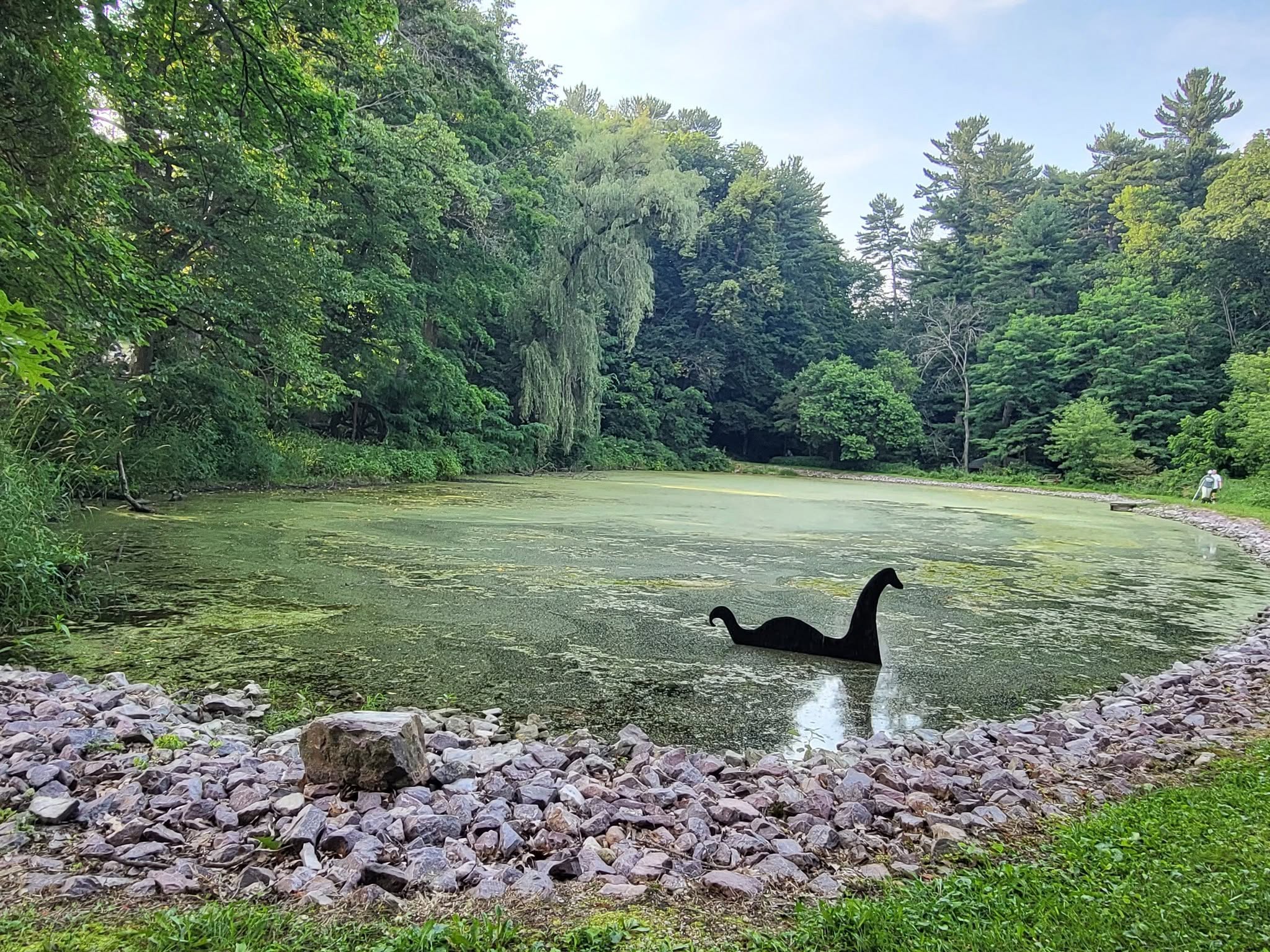 Summer view across the Glen pond with a playful water creature in the foreground