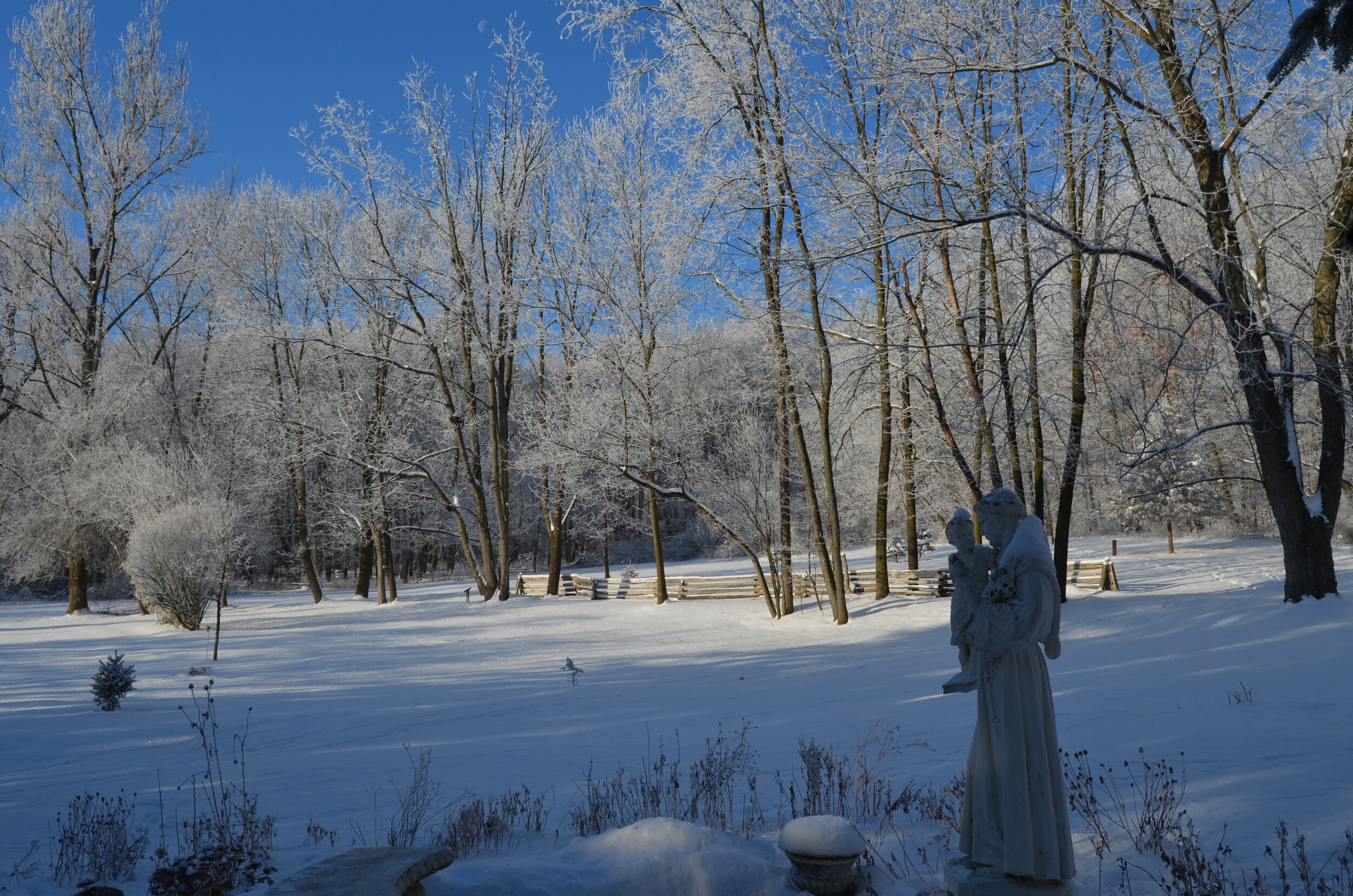 St. Anthony statue among the trees